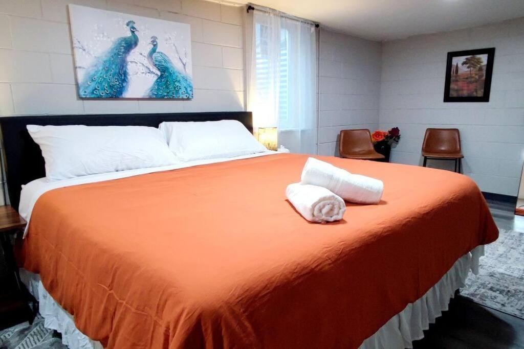 Spacious Suite Close To Downtown Indy/ King Bed Indianapolis Ngoại thất bức ảnh